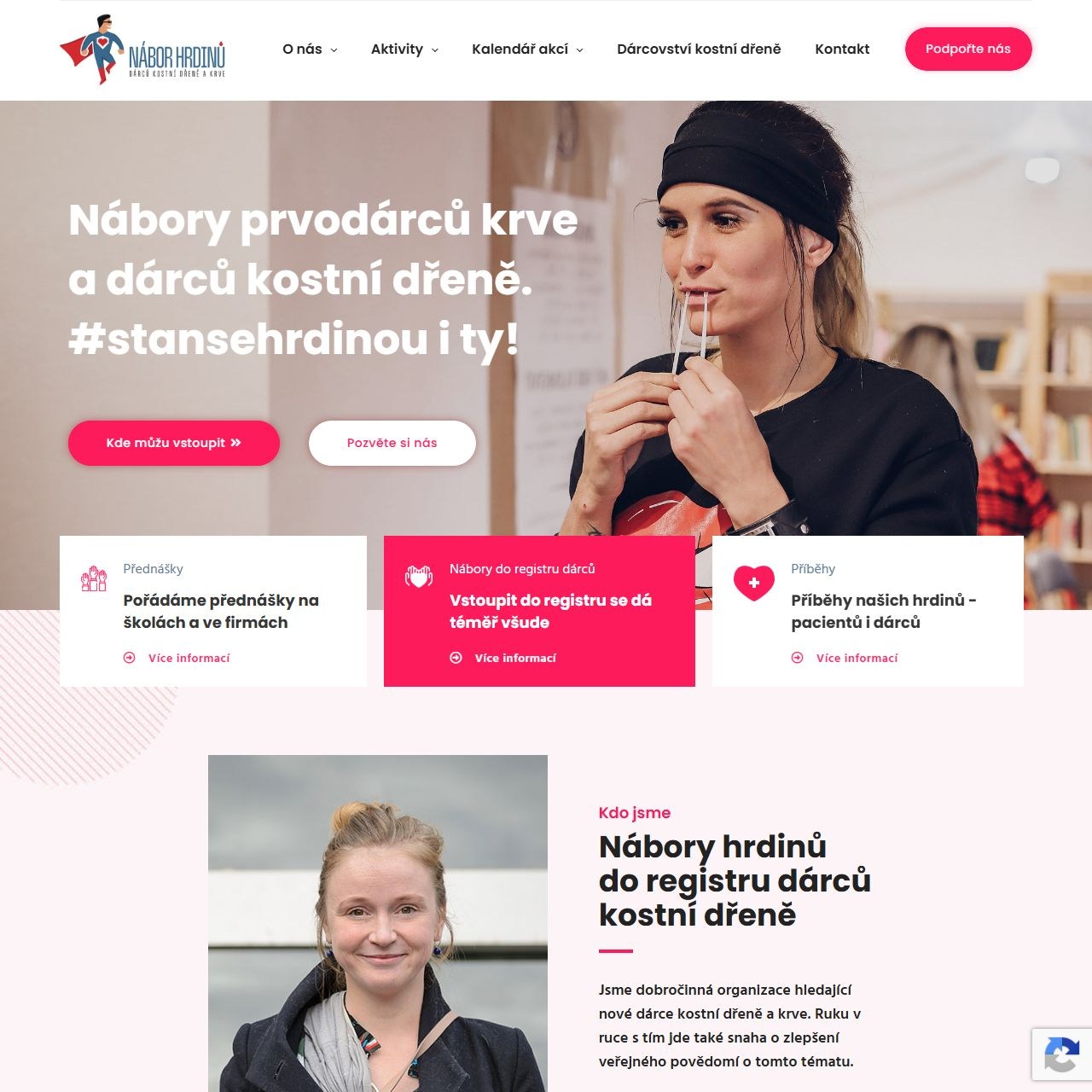 Náhled webu Nábor hrdinů
